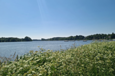 erdre-proche-ubbink