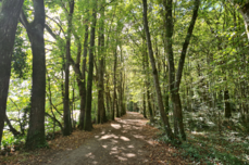 Erdre-ubbink-2