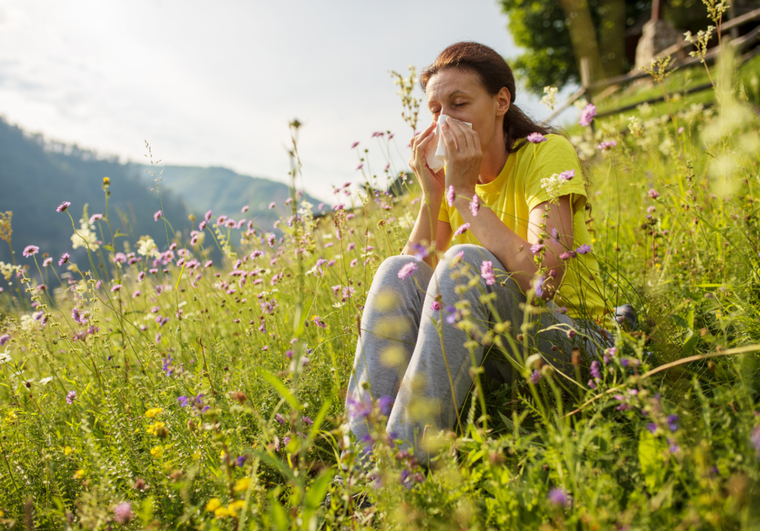 allergies-pollen-ventilation-vmc