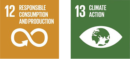 sdg 12 &13