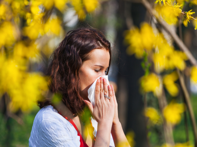 Comment réduire les allergies au pollen grâce à une ventilation performante ?