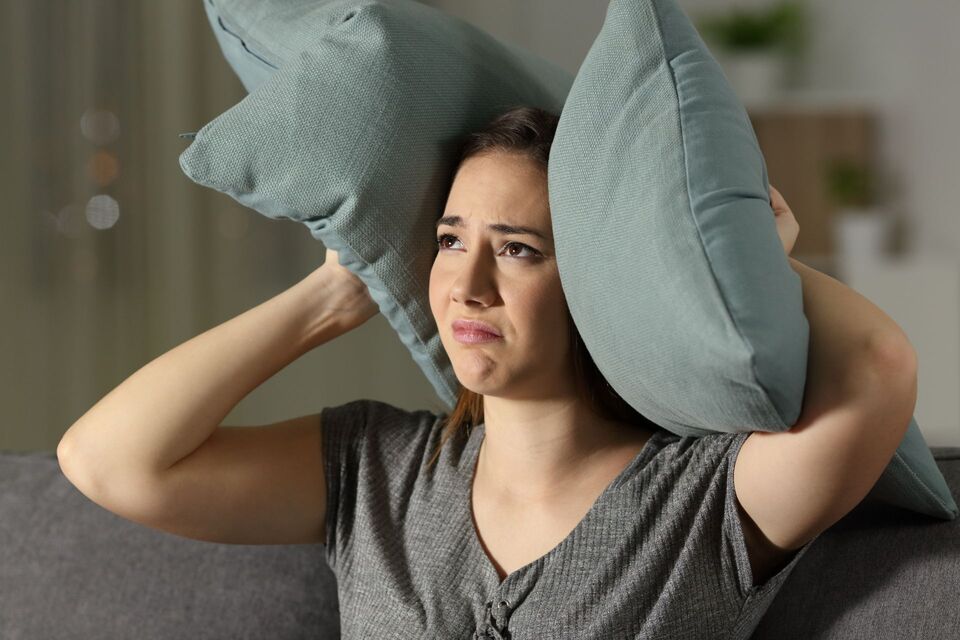Blog: How do you prevent noise pollution from the Mechanical ventilation system?