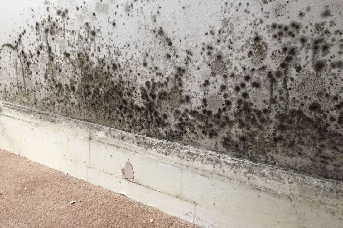 Mould, ventilation, home