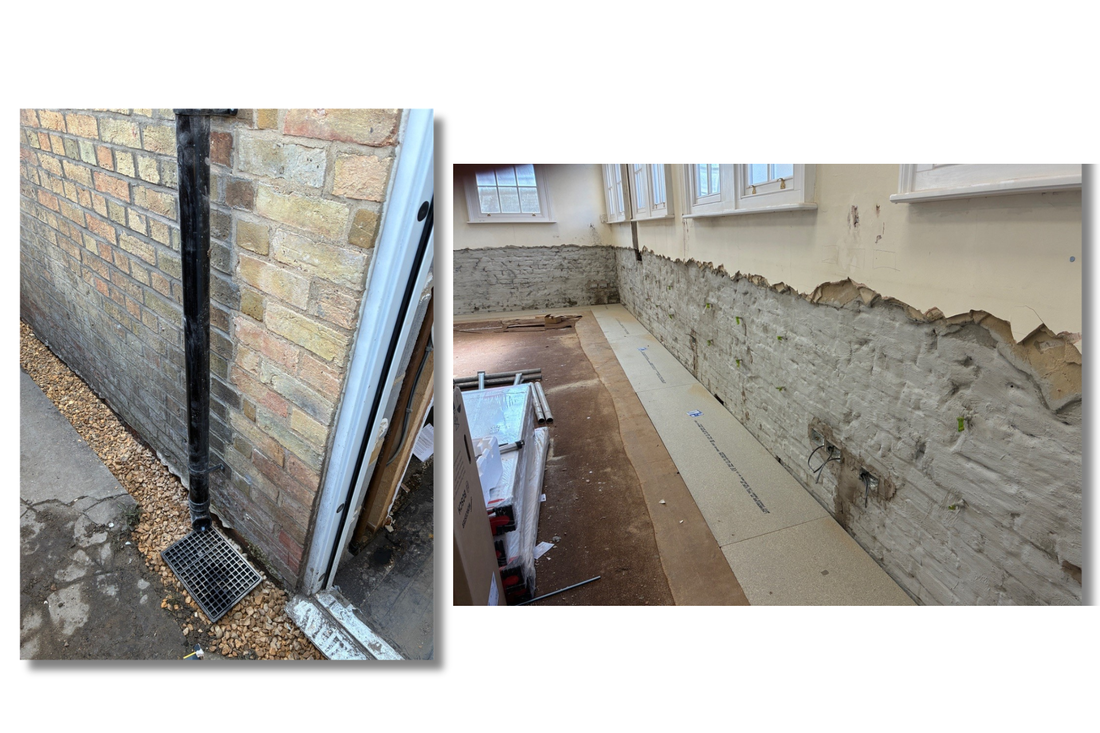 Damp, Condensation, Mould 
