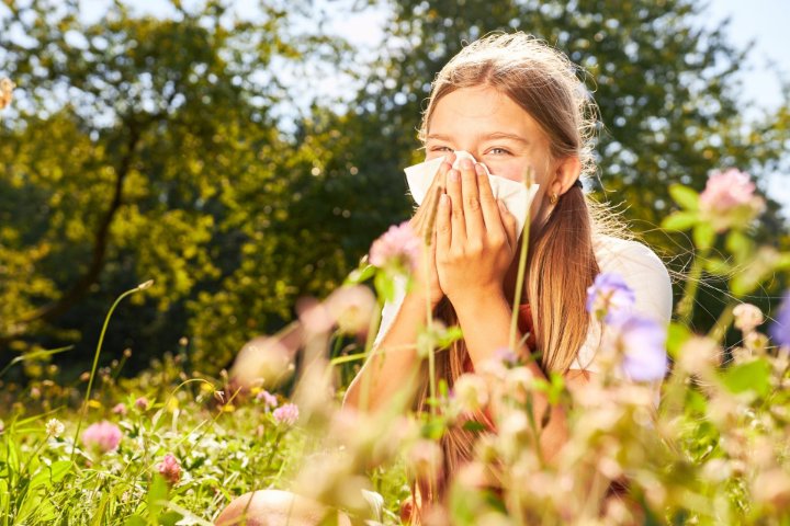 Hay fever, allergies, indoor air quality