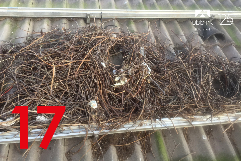 Solar Vogelschroot een simpele oplossing